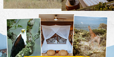 African Safari Lodge 